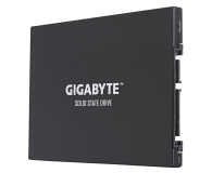 Gigabyte UD PRO 256GB 2,5'' GP-GSTFS30256GTTD - 1459788 - zdjęcie 1